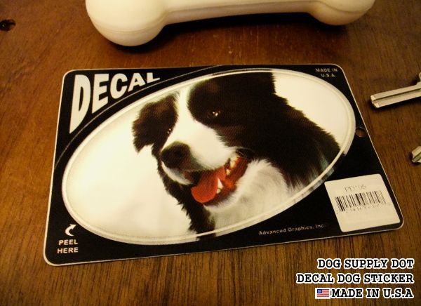 DECALステッカー:ボーダーコリー
